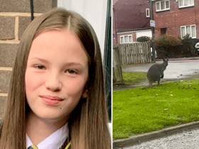 This is the bizarre moment schoolgirl Cia Christie spotted a wallaby hopping down a street in Gateshead
