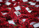 Wreaths lay at the foot of the Cenotaph after the Remembrance Day (getty images)
