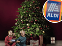 Aldi is selling a real Christmas tree for under £15