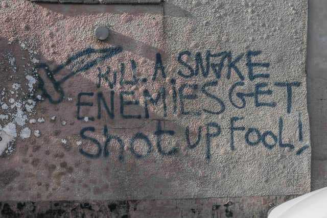 Vile graffiti such as this can be found on the UK’s ‘most neglected street’ - Credit: SWNS
