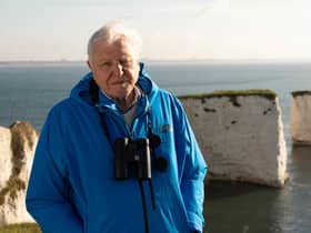 Sir David Attenborough will star in a new BBC documentary on the UK’s prehistoric era