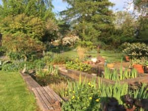 The National Garden Scheme's portfolio highlights how water can make a big difference to a garden