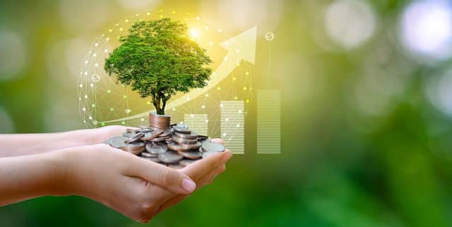 Greening your money (photo: Shutterstock)