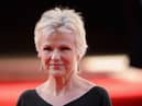 Dame Julie Walters is supporting Samaritans Brew Monday (photo: Stuart C Wilson, Getty Images)