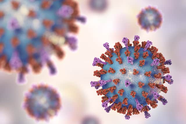 Respiratory syncytial virus (RSV), 3D illustration which shows two types of viral surface spikes. RSV causes common cold.