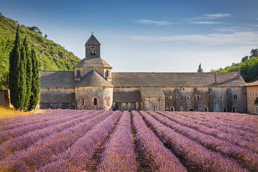 Colorful purple Lavender Field in front of the historic Abbeye de Senanque - Notre-Dame. (Getty Images)