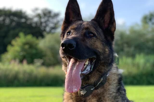 Retired PD Kato died from cancer with his family by his side.