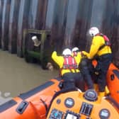 RNLI rescue dog after 14ft fall into river