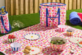 National Picnic Day: The affordable buys I picked up to create the perfect summer picnic (aff)