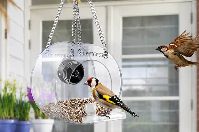 Attract birds to the seed hopper, and the camera will take close-up footage for you