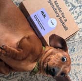 I’m a pet owner and my dog Ellie loves the sofa, so this is one thing I don’t want in my home 