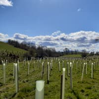 Lancashire Woodland Partnership plants 271,418 trees in latest season