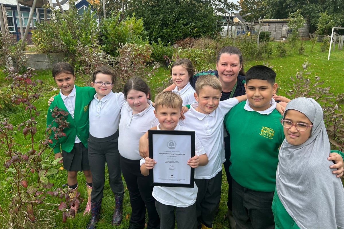 Springfield Community Primary School receives the Silver Green Tree Schools Award from the Woodland Trust