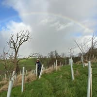 Ribble Rivers Trust launches winter tree-planting season across Ribble Catchment