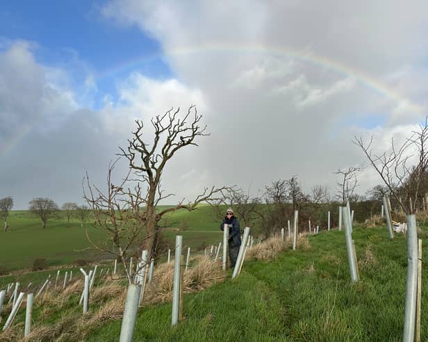 A Ribble Rivers Trust volunteer planting trees on a site at Newsholme, near Barnoldswick