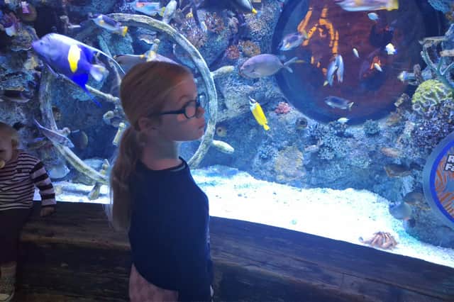 Amelie checks out the inhabitants at SEA LIFE Manchester