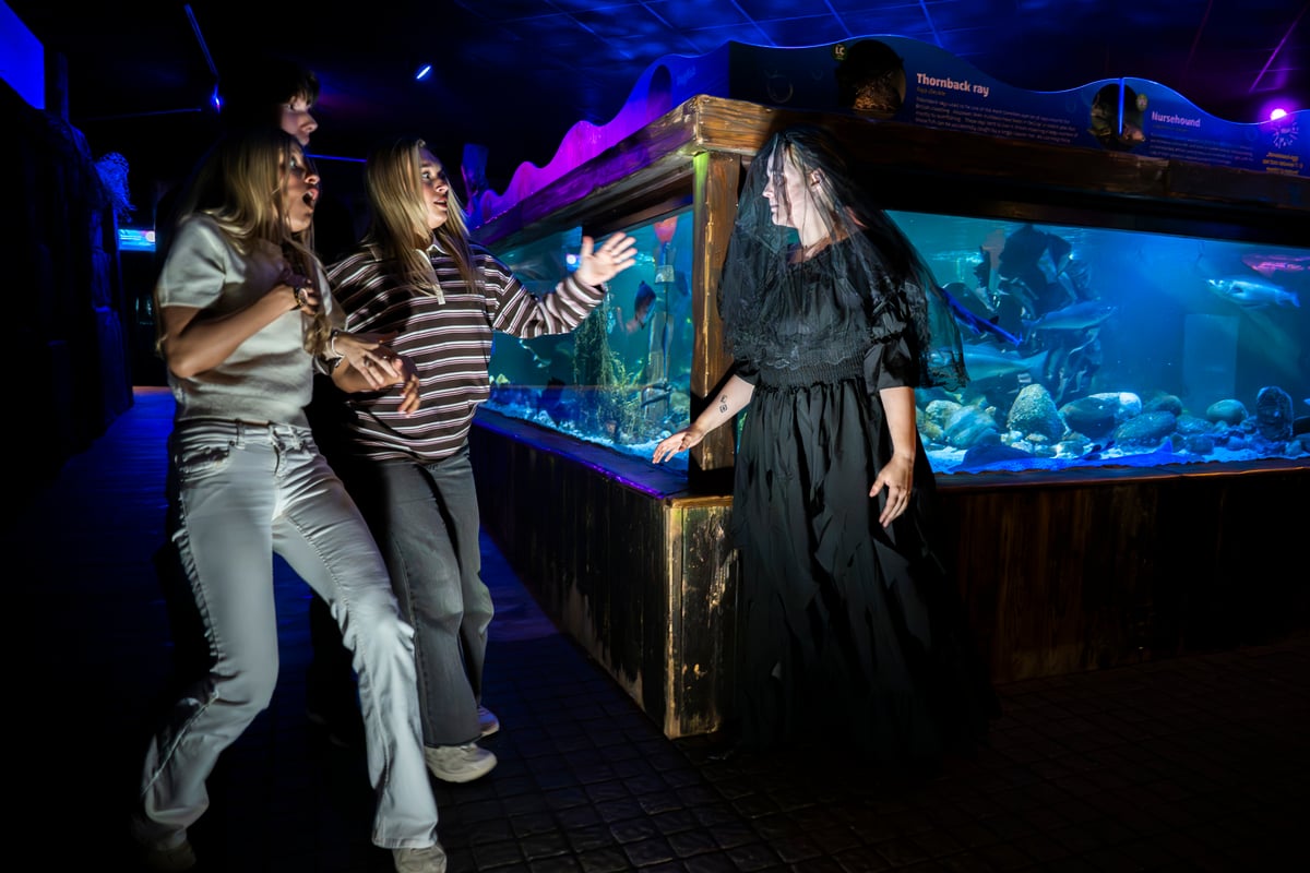 Families 'thrive' at SEA LIFE Manchester with its mix of fun and learning