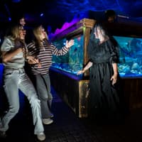 Families 'thrive' at SEA LIFE Manchester with its mix of fun and learning