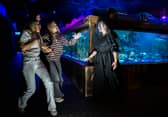 Halloween shoot at Sealife Blackpool, UK

Picture date: Tuesday September 16, 2025. Photo credit should read: Anthony Devlin


Photo by Anthony Devlin Photography © 2024.
No onward transmission or sub-licensing