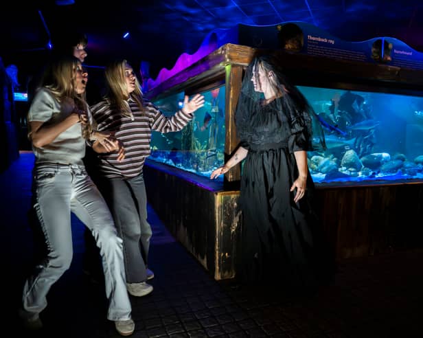 Halloween shoot at Sealife Blackpool, UK

Picture date: Tuesday September 16, 2025. Photo credit should read: Anthony Devlin


Photo by Anthony Devlin Photography © 2024.
No onward transmission or sub-licensing