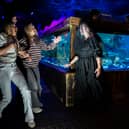 Halloween shoot at Sealife Blackpool, UK

Picture date: Tuesday September 16, 2025. Photo credit should read: Anthony Devlin


Photo by Anthony Devlin Photography © 2024.
No onward transmission or sub-licensing