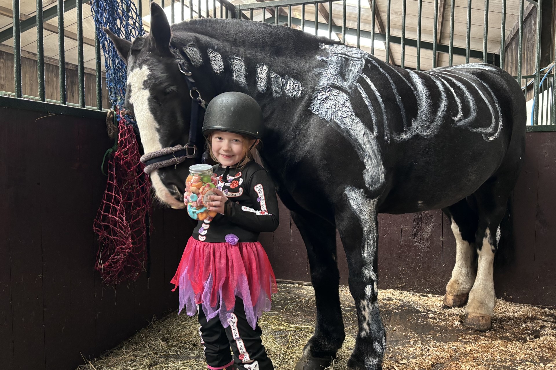 Halloween alf-Term Fun at HAPPA: Pony Experiences, Family Events and a ...