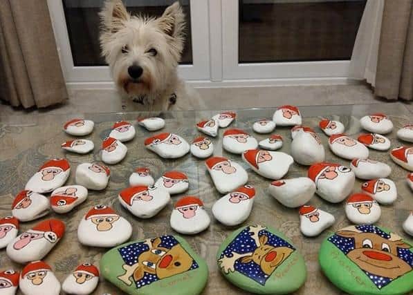 Laggan the Westie with some of the Christmas rocks painted by his master