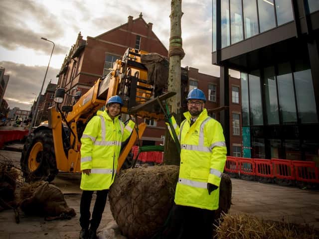 Michael Ahern and Suntosh Kaur  with the rootball of opn of the trees in Corporation Street