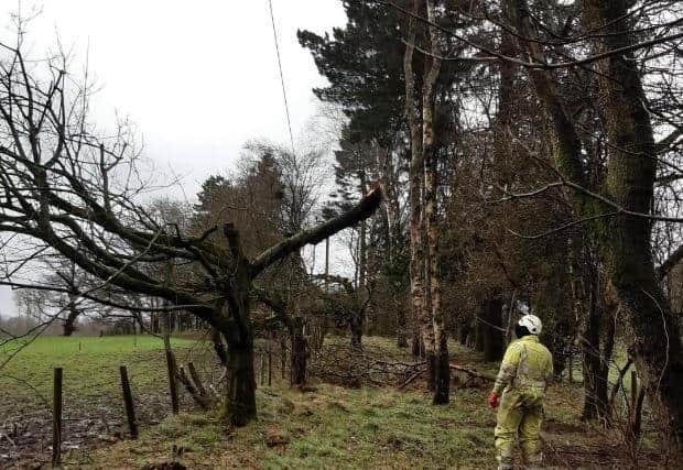 Engineers repairing the electricity network following Storm Ciara