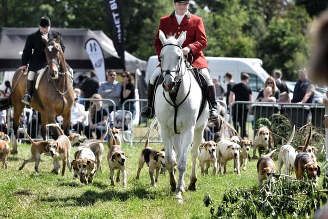 Horses and hounds at 2019's Myerscough College Open Day and Country Fair