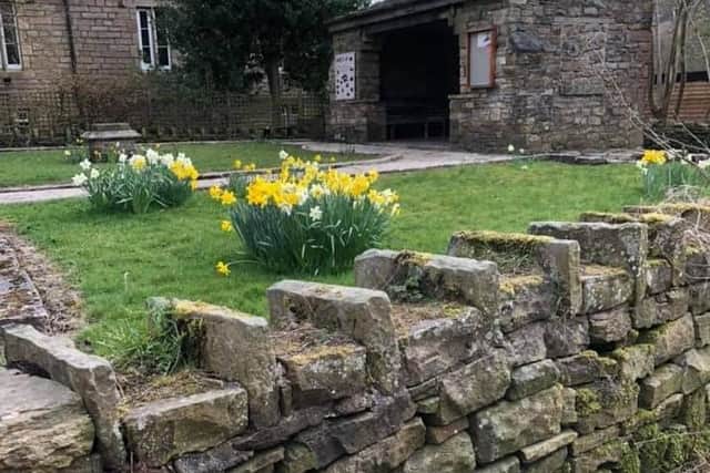 This photograph of daffodils in bloom in Cliviger taken by Maggie Law is one of several helping to keep residents in a positive frame of mind during the pandemic lockdown.