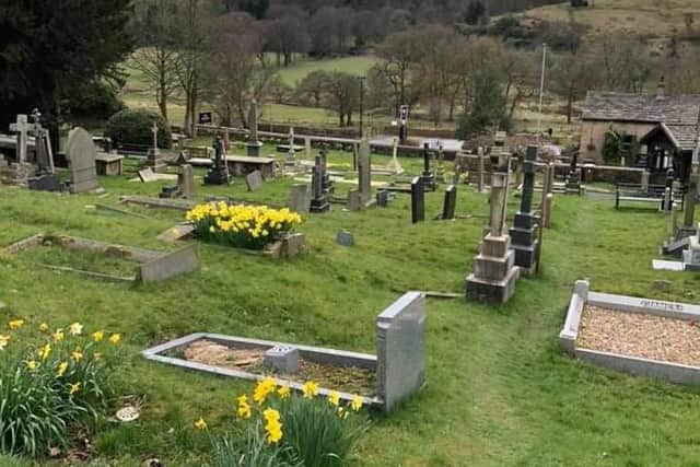 Another image taken by Maggie Law of the daffodils in full bloom in the graveyard at St John the Divine Church, Cliviger