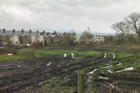 Craggs Farm in Padiham after it was cleared of its natural flora, fauna and trees