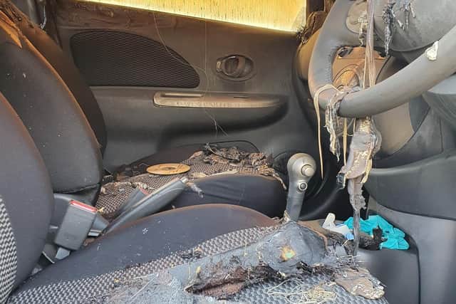 The interior of Tracey's vehicle after it was set alight
