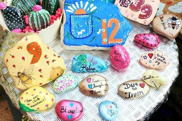 A close up of some of Tracey's amazing painted pebbles