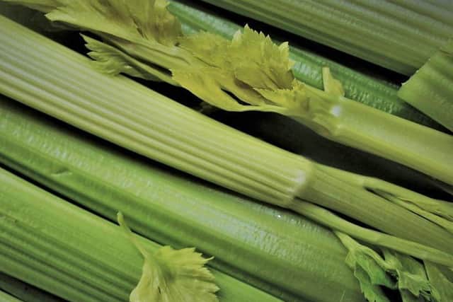 Celery Picture: PASJA/PIXABAY