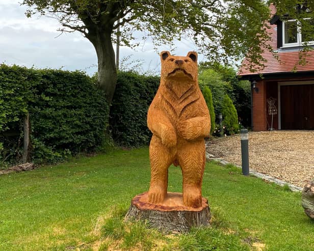 The tree-mendous bear sculpture