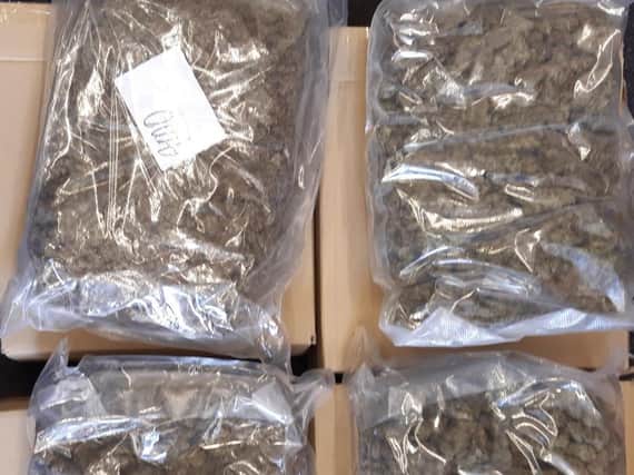 Cannabis seized as part of Operation Florence