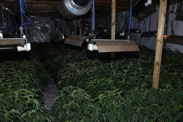 The huge cannabis grow was discovered in units at the Apex Trading Estate in Darwen. (Credit: Lancashire Police)