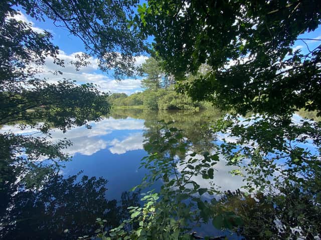 Sunny weather has returned to Lancashire. Pic: Cuerden Valley Park by Nicola Adam