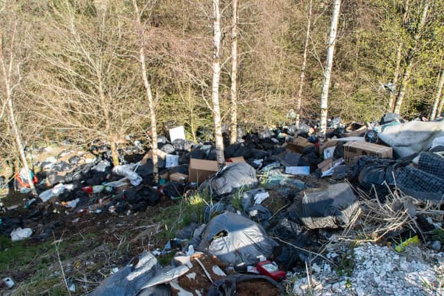 A shocking image of how the beauty spot was blighted by fly tipping before the Northern Monkeys stepped in