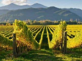 Marlborough: Home of stunning New World wines which exploded our taste buds