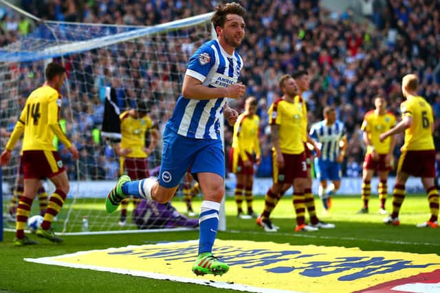 Dale Stephens of Brighton & Hove Albion celebrates after scoring his team's first goal during the Sky Bet Championship match between Brighton & Hove Albion and Burnley at Amex Stadium on April 2, 2016 in Brighton, England. (Photo by Dan Istitene/Getty Images)