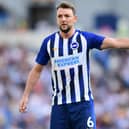 Dale Stephens of Brighton & Hove Albion gestures during the Premier League match between Brighton & Hove Albion and Burnley FC at American Express Community Stadium on September 14, 2019 in Brighton, United Kingdom. (Photo by Alex Broadway/Getty Images)