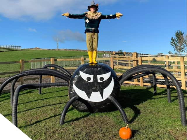Pick a pumpkin and find a giant spider at the farm this Halloween