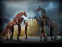 War Horse, presented by National Theatre Live, is being presented at Chorley Little Theatre