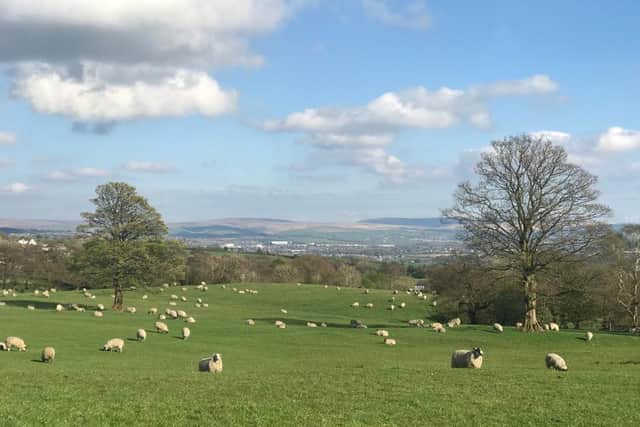 The Pendle countryside (credit Holly McConnell)