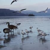 It is the first time in 10 years that parts of Lake Windermere have frozen over