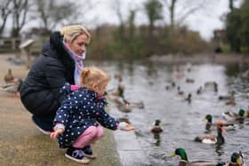 Families are being encouraged to go out this half term holiday to connect with nature