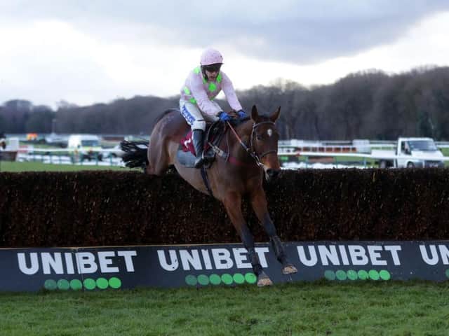 Royale Pagaille ridden by Tom Scudamore on their way to winning the Peter Marsh Handicap Chase at Haydock Park